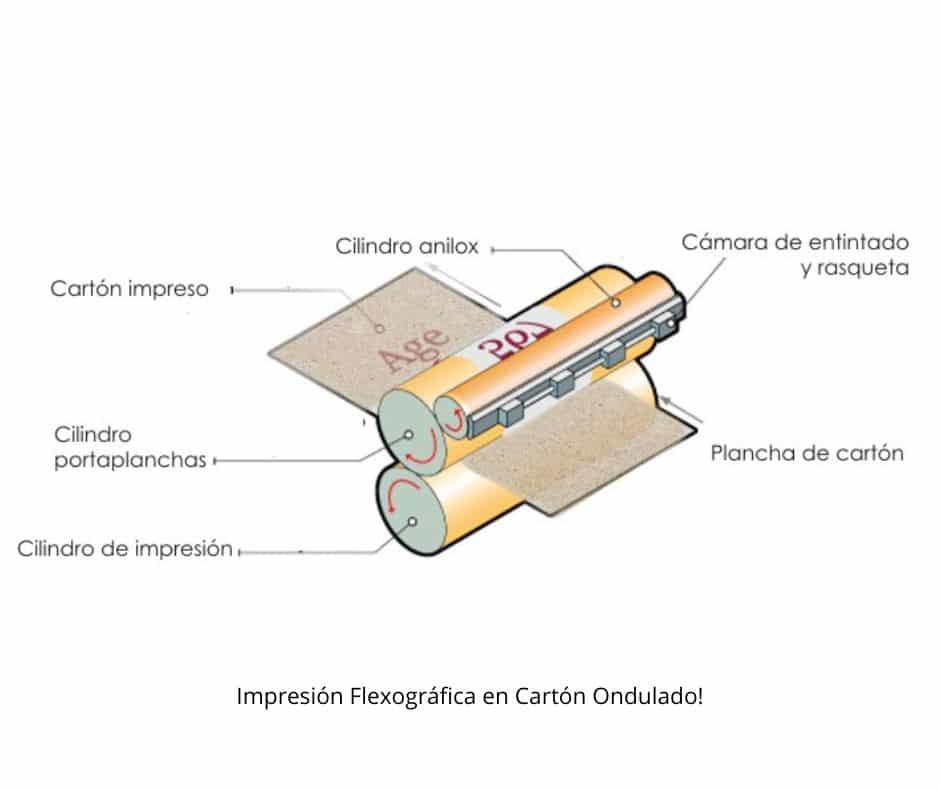 Impresión Flexográfica en Cartón Ondulado: ¡Mantén la Perfección con Estos Consejos!